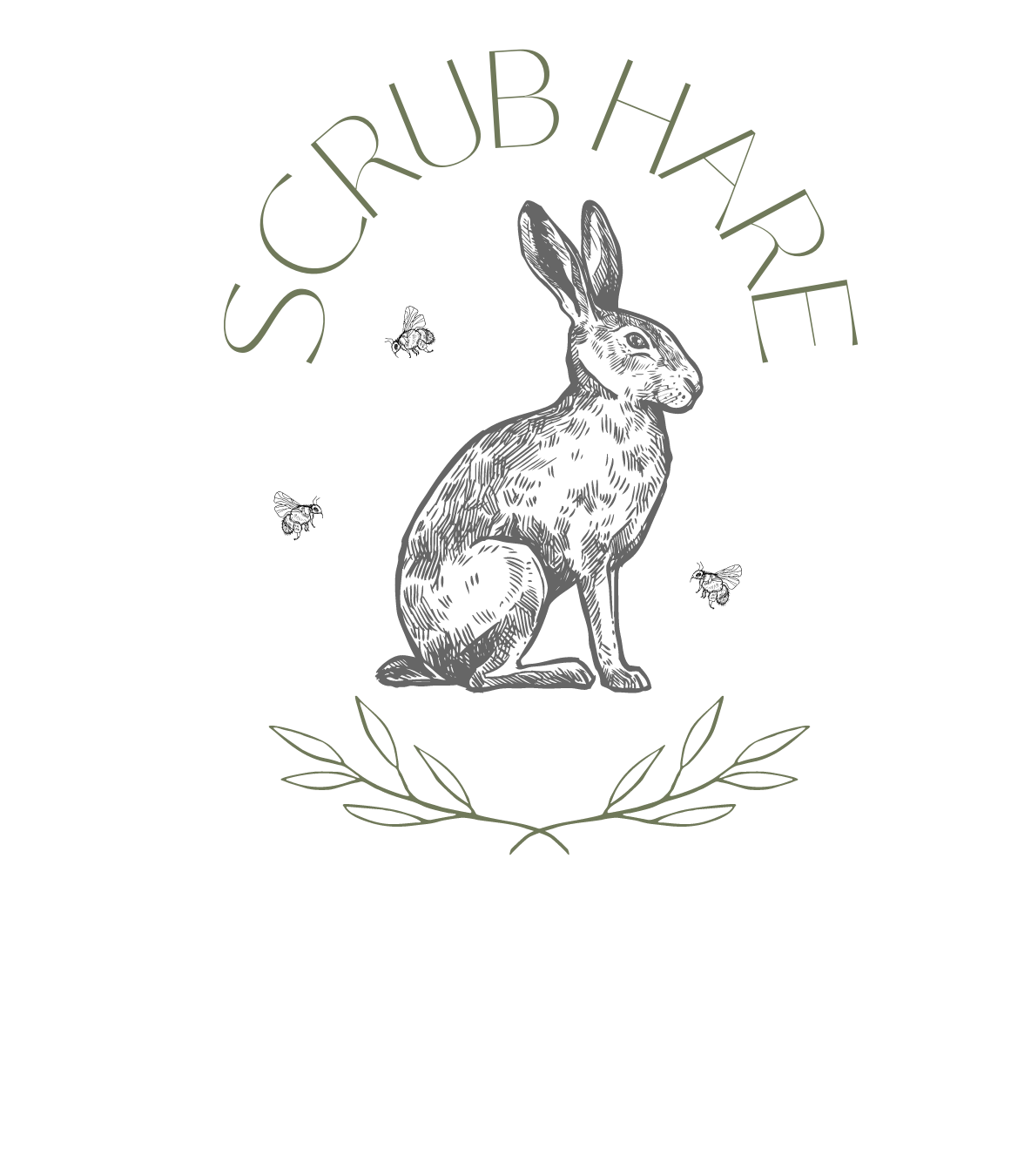 Scrub Hare